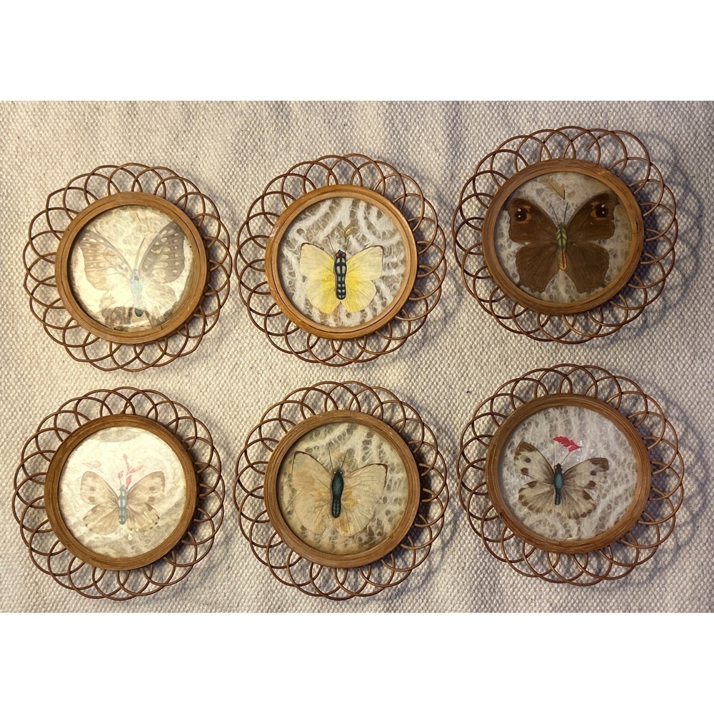 Vintage 60s Gailstyn Sutton Rare Set Coasters Home Decor Butterfly Rattan Brown